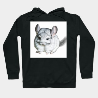 cute chinchilla 9 Hoodie